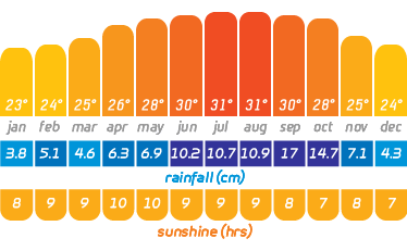 Yearly Temps